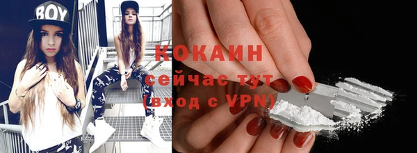 тгк Краснослободск