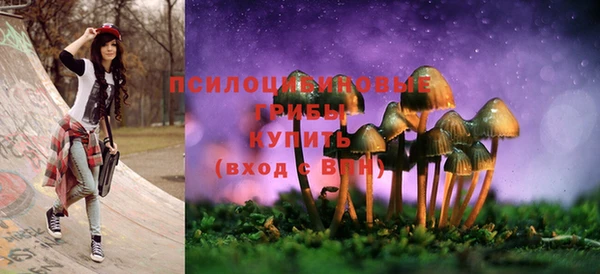 гидропоника Краснотурьинск