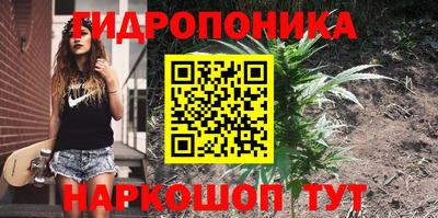 MDMA Кингисепп