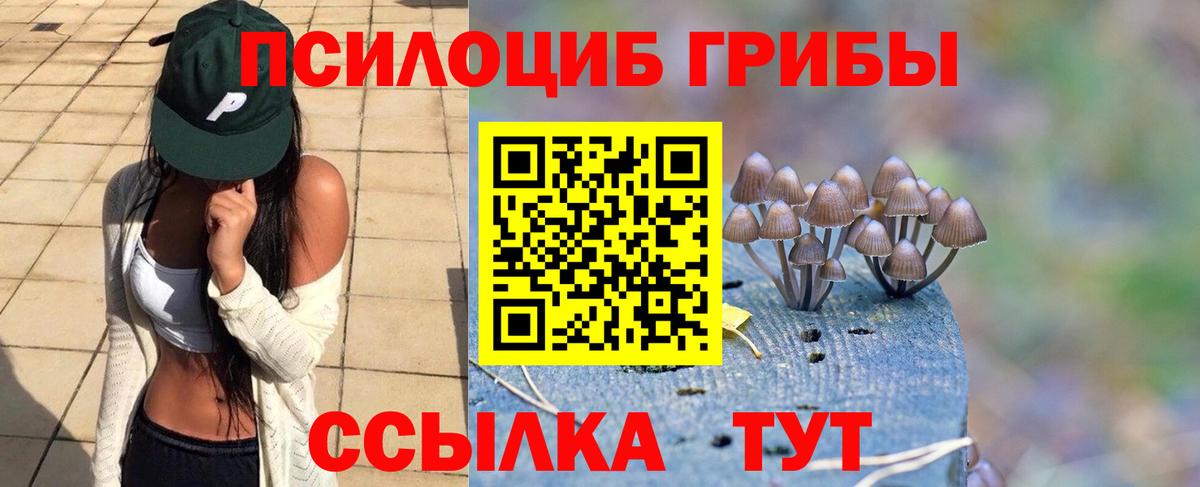 цены   Псилоцибиновые грибы GOLDEN TEACHER  Новый Уренгой  Вход с VPN  Галлюциногенные грибы Magic Shrooms 